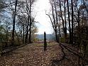 Lichtenwalde (12)